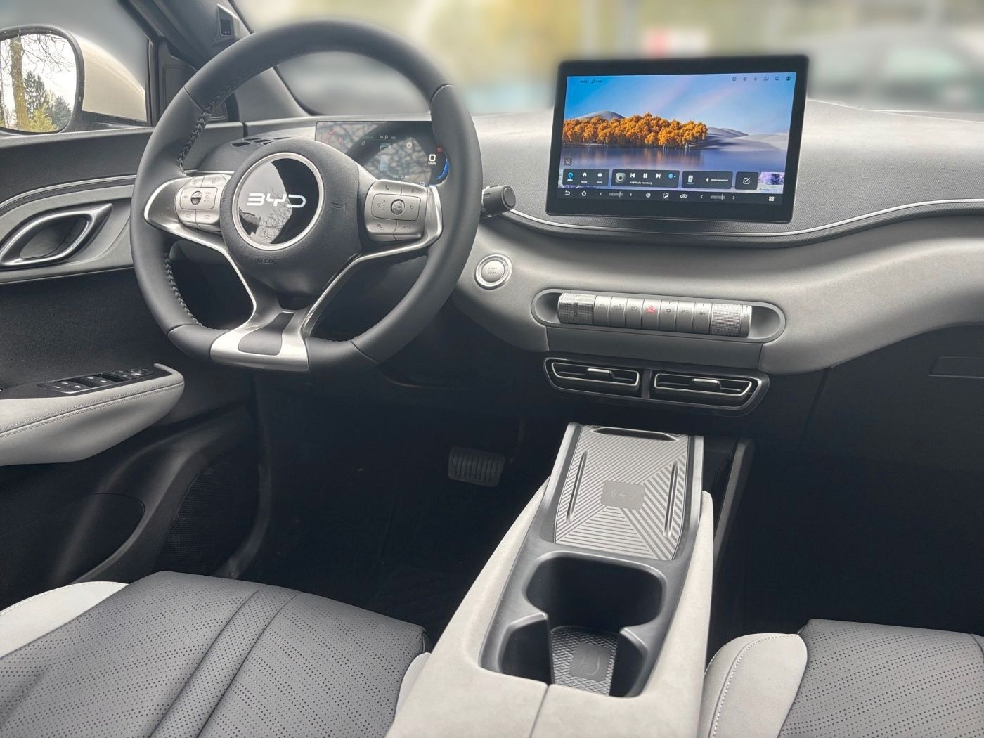 BYD DOLPHIN SURF
