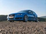 Audi S3 8P 2.0 Quattro - Audi S3: 8p