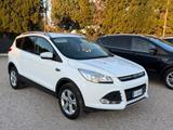 Ford Kuga 2.0 TDCI 120 CV S&S 2WD Titanium - Ford Kuga: Van