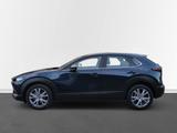 Mazda CX-30 SKYACTIV-X M Hyb. Selection 2WD - Mazda CX-30 Gebrauchtwagen