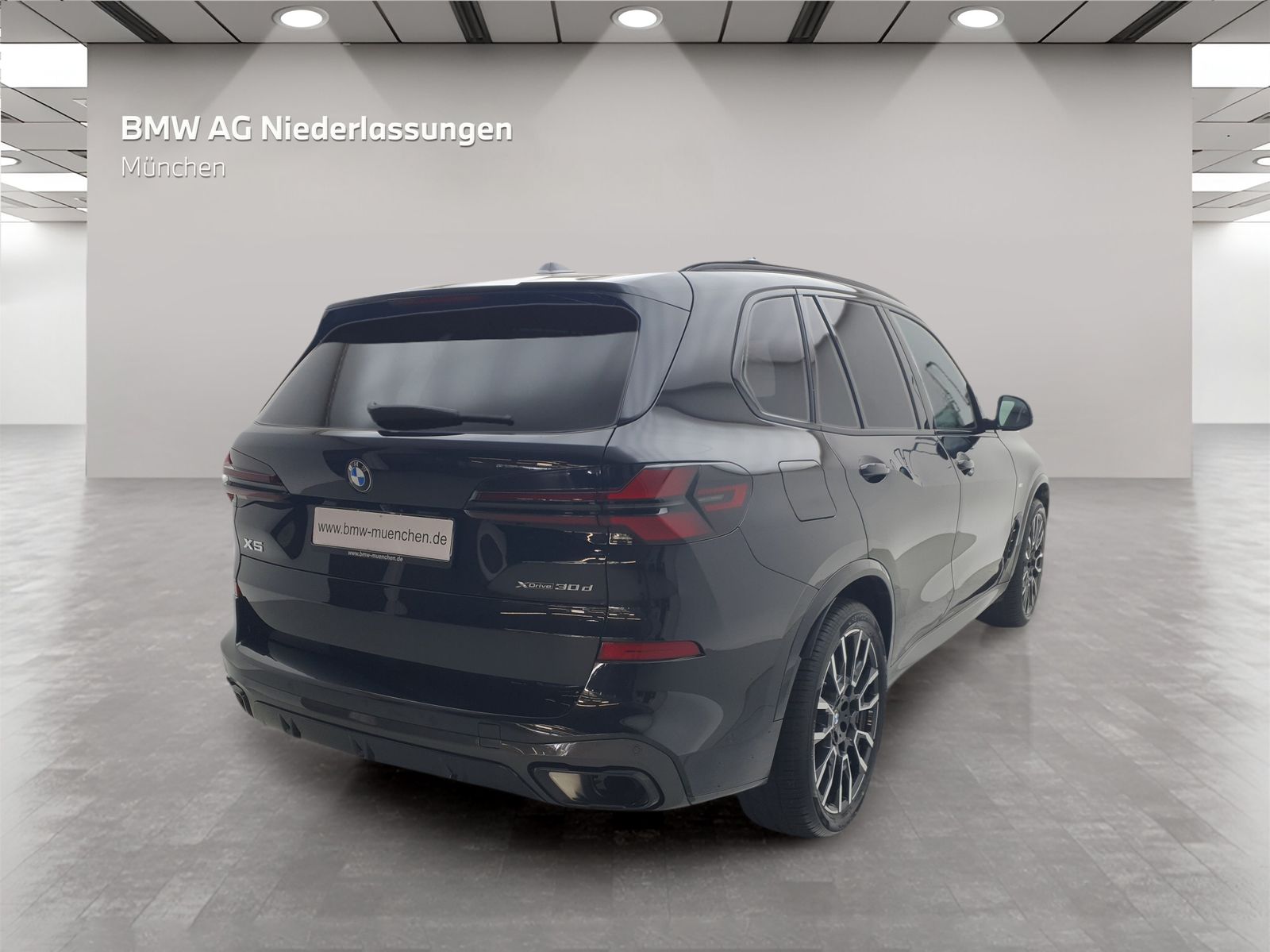 BMW X5 xDrive30d M Sport AHK Driv.Assist.Prof LED foto 5
