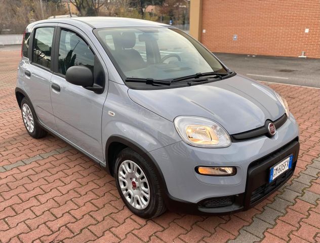 Fiat FIAT PANDA 1.0ccHYBRID PARI AL NUOVO