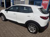 Kia Stonic Edition 7 - Kia Stonic Gebrauchtwagen