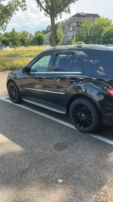 Mercedes-Benz Auto  ml 350 - Mercedes-Benz ML-Klasse Gebrauchtwagen in Stuttgart