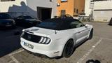 Ford Mustang 5.0 Ti-VCT V8 GT Convertible - Ford Mustang mit Benzin-Antrieb: Cabrio, 5.0