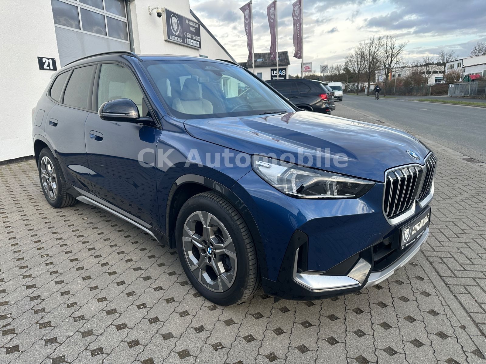 Fahrzeugabbildung BMW X1 20d xDrive xLine/Navi/Head-Up/Pano/LED/360°
