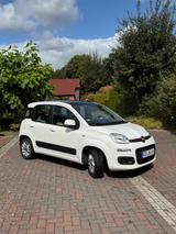 Fiat New Panda 1.2 8V LOUNGE LOUNGE - weiße Fiat New Panda