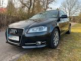 Audi A3 2.0 TDI (DPF) Ambition 