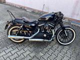 Harley-Davidson Iron 883 - Offers