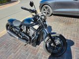 Harley-Davidson Night Rod Special VRSCDX - HARLEY-DAVIDSON V ROD VRSC