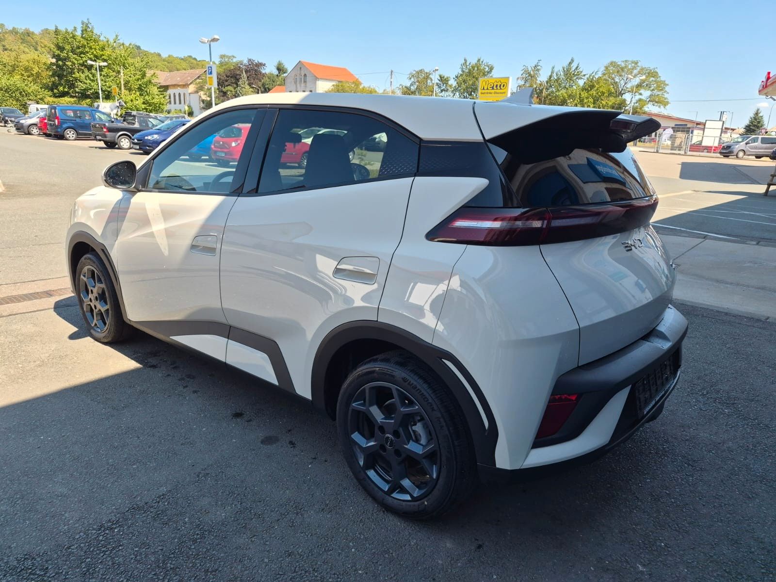 BYD DOLPHIN SURF