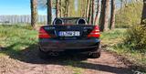 Mercedes-Benz Mercedes Benz SLK AMG - Mercedes-Benz SLK 230: AMG