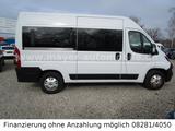 Fiat Ducato Luxusbus Panorama L2H2*9-Sitze*Kamera*DAB - Fiat Ducato: Luxusbus Panorama