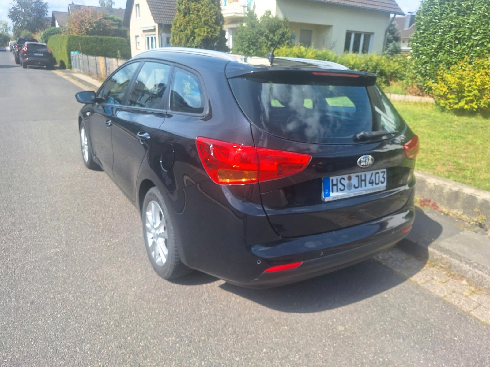 Kia cee'd 2013 — rear view
