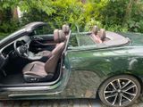 BMW 420d Cabrio M Sport A M Sport - BMW 420 aus 2022