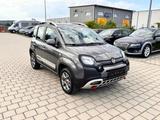 Fiat Panda Cross 4x4 ALLRAD KLIMA/SITZHEIZUNG - Fiat Panda: 4.4