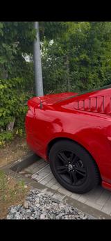 Ford Mustang - Ford Mustang mit Panoramadach
