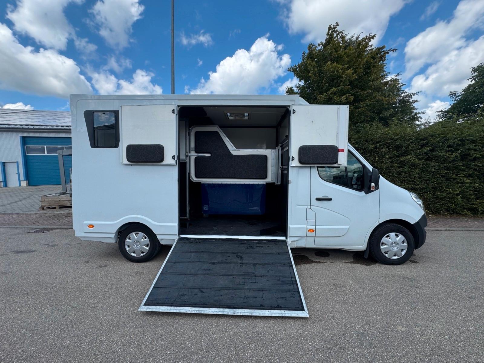 Renault Master Pferdetransporter Hengstausstattung