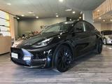 Tesla Model Y Performance AWD Subentro Leasing - Tesla Model Y Kombi Gebrauchtwagen