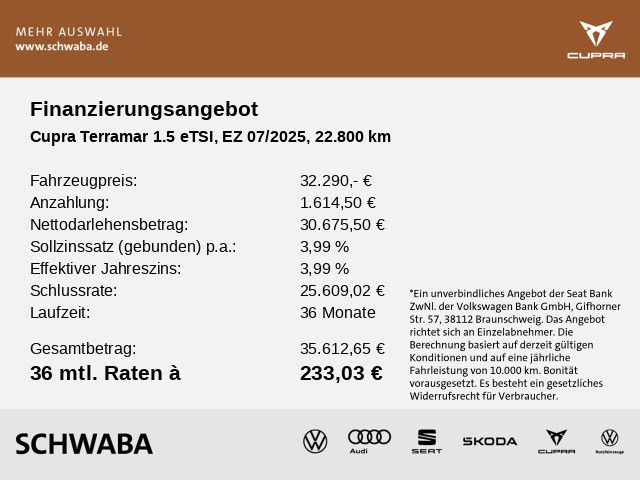 Cupra Terramar - Bild 4