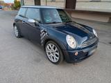 MINI Mini Cooper One Checkmate R50/R53 - MINI MINI: Checkmate