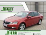 Skoda Octavia Drive 1.0 TSI 85kW, 6-Gang LED Kurvenlic - Skoda Octavia: Drive