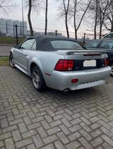 Ford Mustang GT 35th Anniversary Edition 4.6L V8 - gebrauchte Ford Mustang aus dem Jahr 2000