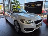 BMW 220i Cabrio Luxury Line AHK LED NAV SHZ PDC ALU - gebrauchte BMW 220 aus dem Jahr 2019