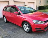 Volkswagen Golf 7  1.6 TDI 4 Motion - Volkswagen Golf: 4motion V6