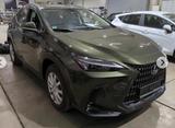 Lexus NX 350h*KAMERA*LEDER*ACC*LED - Lexus aus 2022: Nx