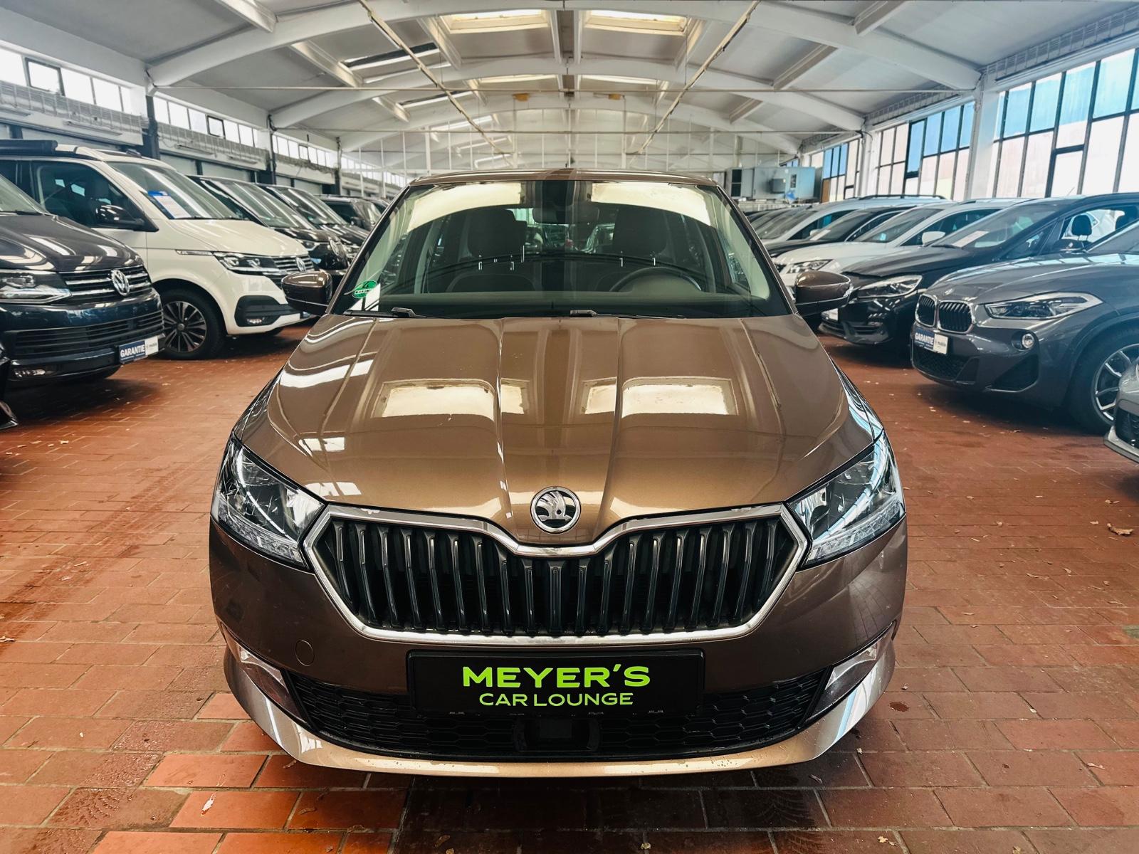 Skoda Fabia Style Kamera*Sitzheizung*Tempomat*LED*