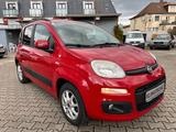 Fiat Panda Lounge 1.Hd. Scheckheftg. Klima /WR+SR Alu - Fiat Panda aus 2013