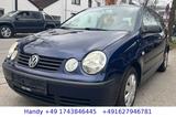 Volkswagen Polo IV 1.2i Basis/TÜV AU 12.2025 - gebrauchte VW Polo aus dem Jahr 2002