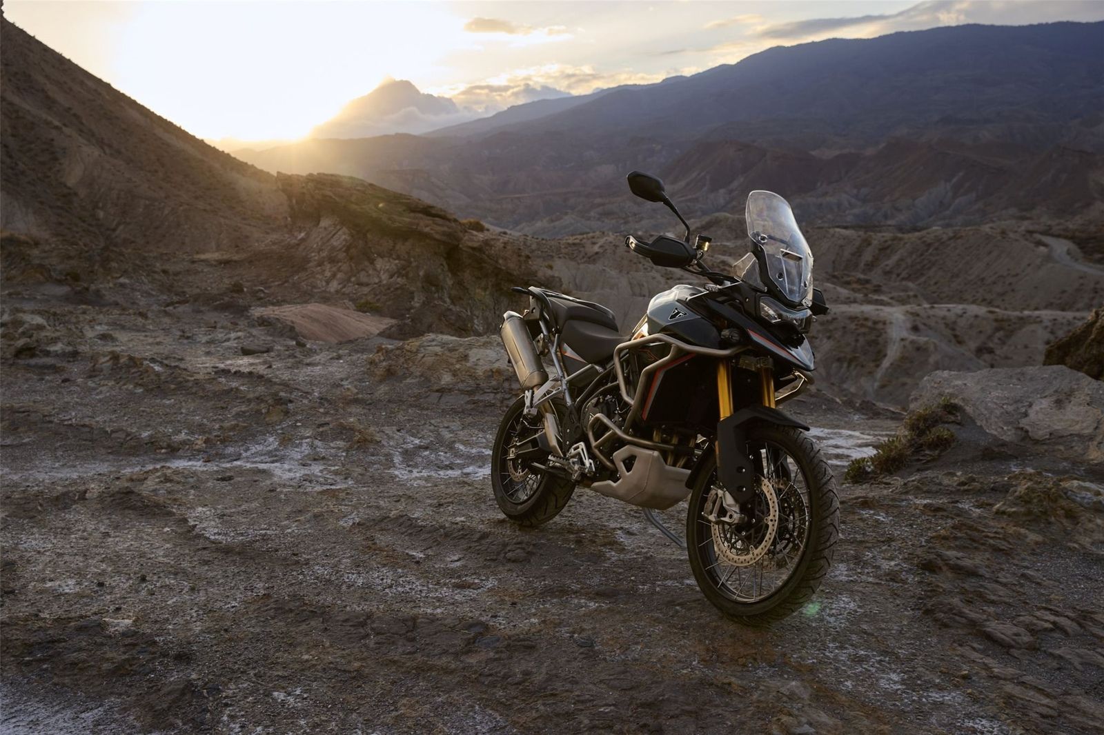 Fahrzeugabbildung Triumph Tiger 900 Desert Edition