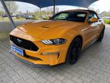 Ford Mustang Convertible+ACC+PDC+NAV+DAB+Magne Ride+ - : Orange, Cabrio