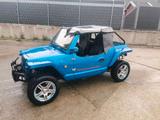 Andere QUADIX BUGGY 800 - Buggy (mit Straßenzulassung)