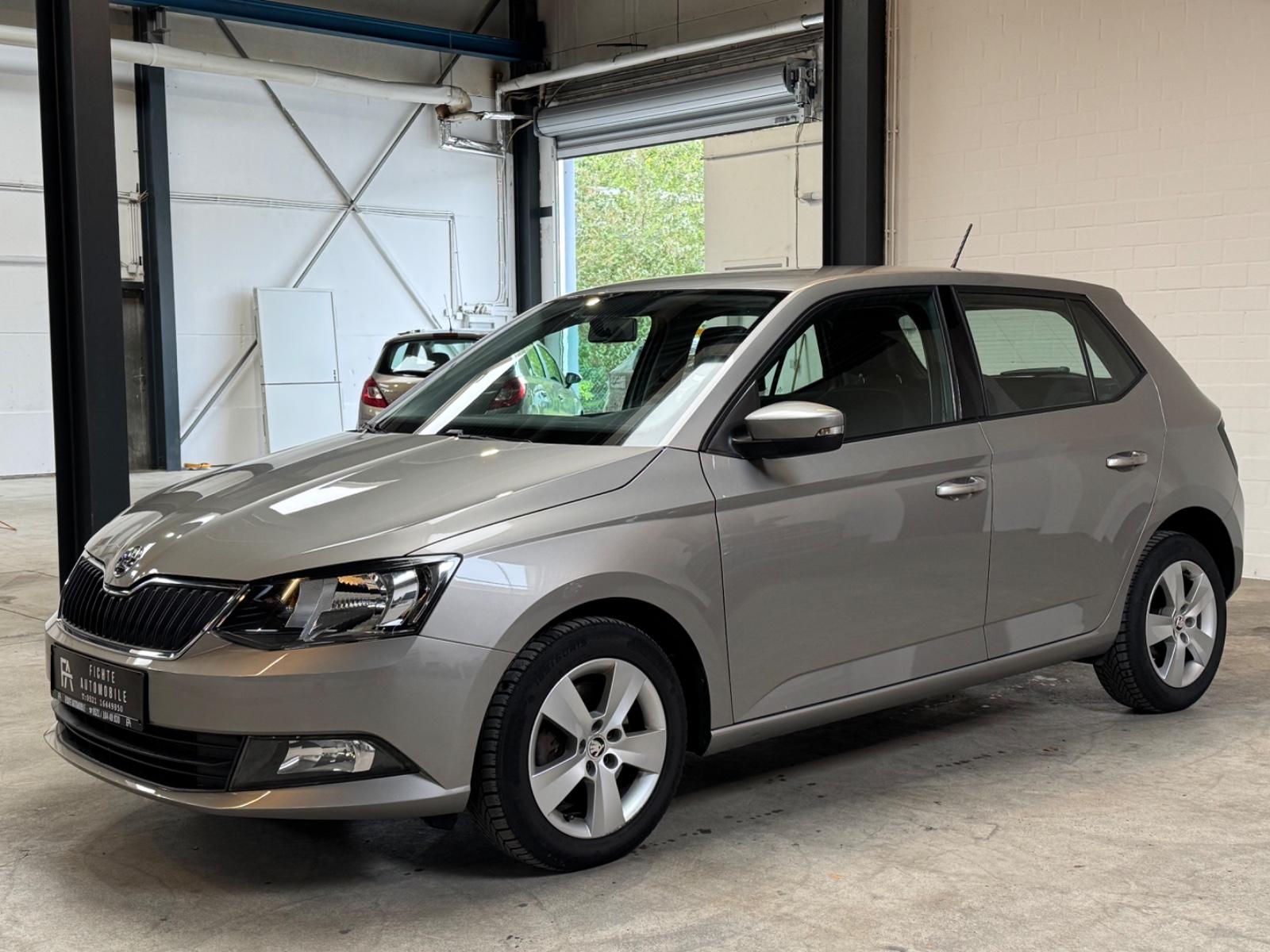 Skoda Fabia Ambition Temp PDC Sitzheizung Scheckhef