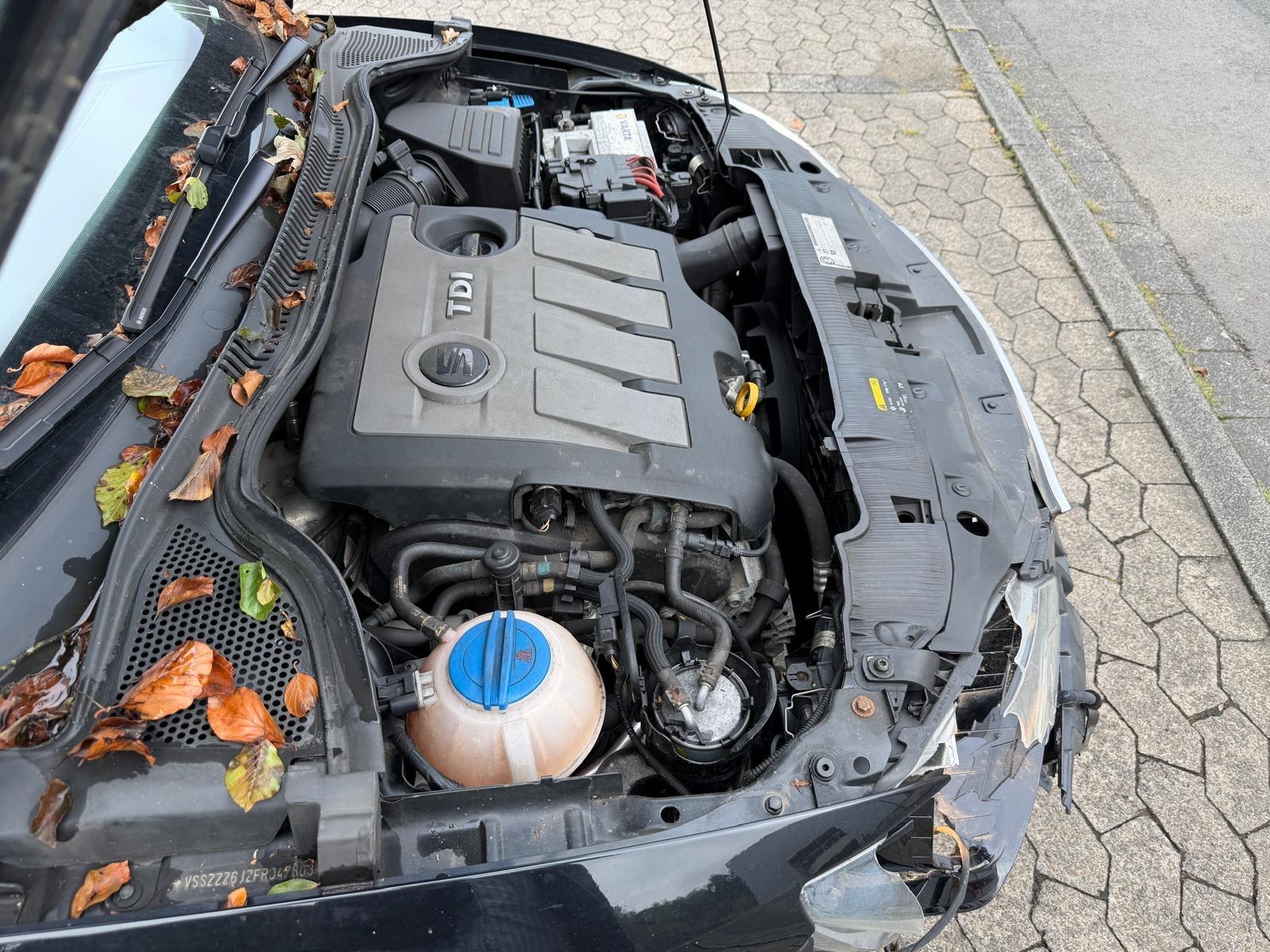 Seat Ibiza 2015 — photo 8