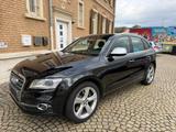 Audi AUDI SQ5 3.0TDI COMPETITION/QUATTRO/ACC/PANO/ - Audi SQ5 in Ludwigshafen