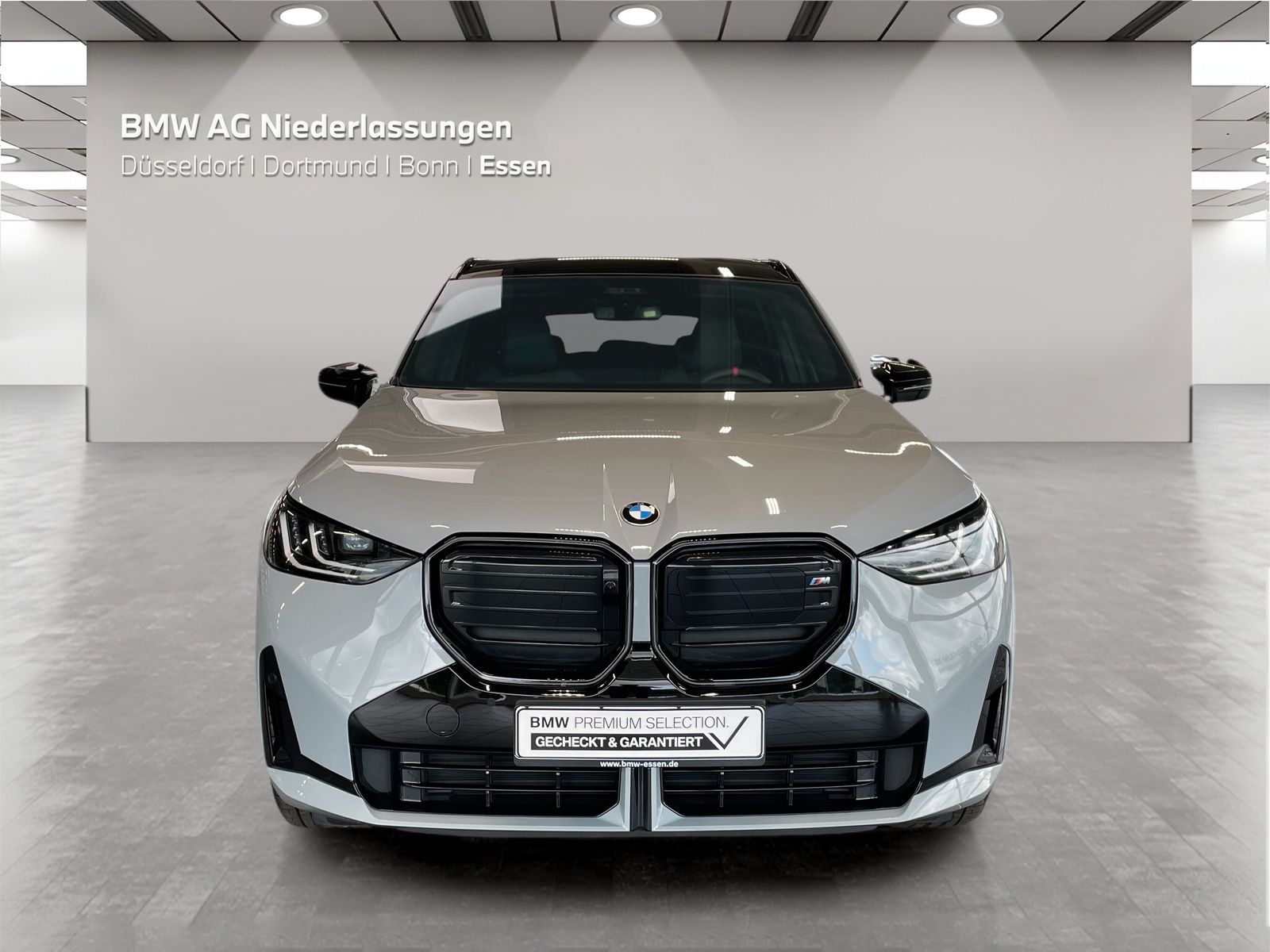 BMW X3 M50 - Bild 8