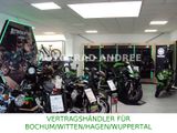 Kawasaki NINJA 650 2025 - KRT-Design GRÜN  SOFORT - Angebote entsprechen deinen Suchkriterien
