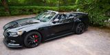 Ford Mustang 5.0  V8 GT Cabrio Boss Version - Ford Mustang: Boss