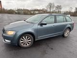 Skoda Octavia Combi 1.6 110PS TDI Greenline 47450 - Skoda Octavia Greenline mit Diesel-Antrieb