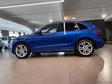 Audi SQ5 3.0TDI Competition tiptronic quattro B&O AHK - Audi SQ5 in Osnabrück