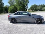 BMW M2 Coupé M2 - graue BMW M2