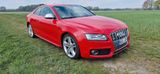 Audi S5 4.2 FSI quattro - - Audi S5 mit Benzin-Antrieb: Leder, Navigationssystem, Sportwagen, 4.2