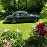 Jaguar MK II 2.4 Overdrive RL Schalter - Jaguar: Mk2