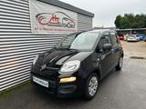 Fiat New Panda 1.2 8V KLIMAANLAGE/1.HAND - Fiat New Panda Gebrauchtwagen