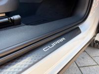 Cupra Terramar VZ 2.0 TSI DSG 4Drive PANO AHK 5J GAR bei Autohaus Landmann & Maier OHG