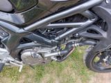 Suzuki Gladius 650 ABS - Offers matching your search criteria